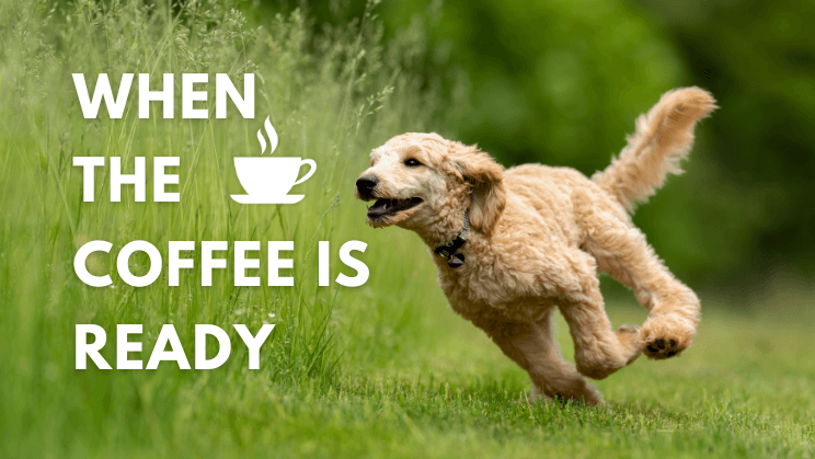 Coffee Puns For Morning Motivation