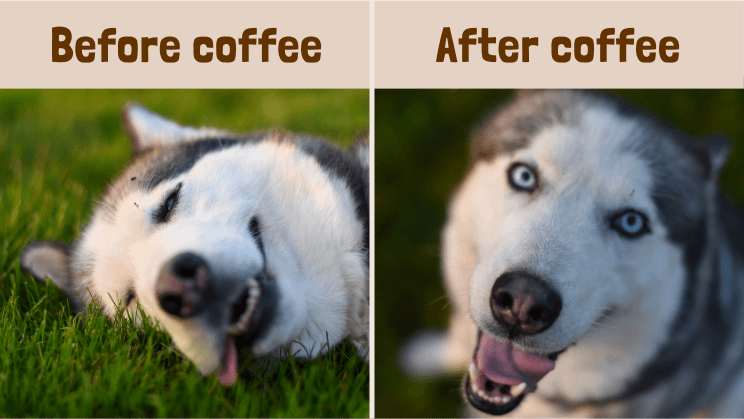 Coffee Puns For Social Media