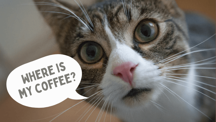 Coffee Puns For Work